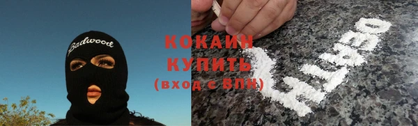 не бодяженный Бородино