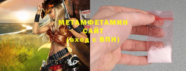 ПСИЛОЦИБИНОВЫЕ ГРИБЫ Богданович