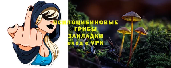 PSILOCYBIN Бронницы